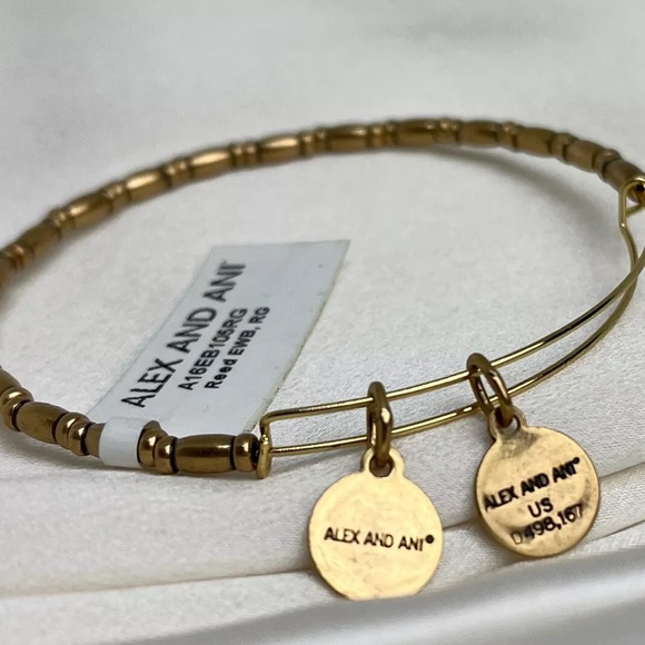 Alex and Ani Reed EWB Rafaelian Gold Expandable Wrap Bangle Bracelet NWT - Picture 1 of 4
